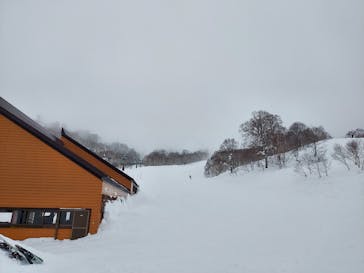 野沢温泉スキー場に投稿された画像（2022/3/2）