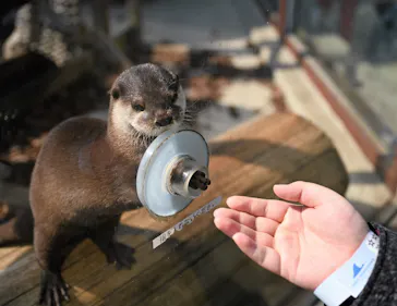 横浜・八景島シーパラダイスに投稿された画像（2022/3/2）