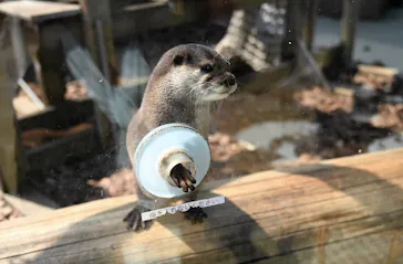 横浜・八景島シーパラダイスに投稿された画像（2022/3/2）
