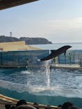 新江ノ島水族館に投稿された画像（2022/3/2）