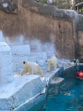 天王寺動物園に投稿された画像（2022/3/2）