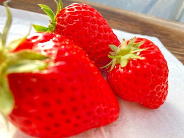 井上寅雄農園に投稿された画像（2022/3/2）