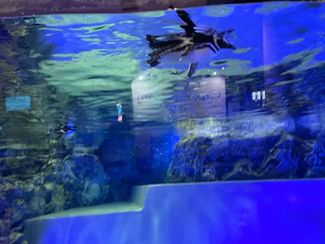 すみだ水族館に投稿された画像（2022/3/2）