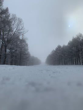 斑尾高原スキー場に投稿された画像（2022/3/2）