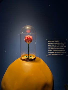 星の王子さまミュージアム 箱根サン=テグジュペリに投稿された画像（2022/3/2）
