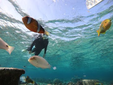 武藤潜水に投稿された画像（2022/3/3）