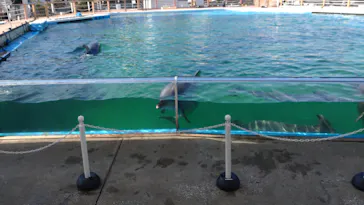 横浜・八景島シーパラダイスに投稿された画像（2022/3/3）