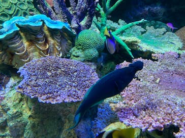 サンシャイン水族館に投稿された画像（2022/3/3）