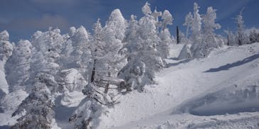 熊の湯スキー場に投稿された画像（2022/3/3）