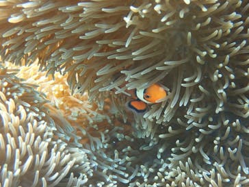 marine assist DEMI（マリンアシストデミ）に投稿された画像（2022/3/3）