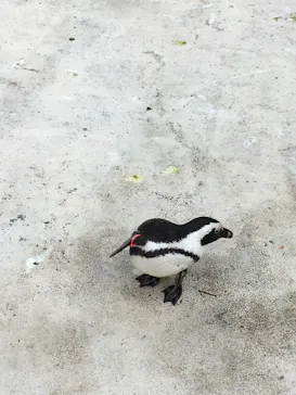 横浜・八景島シーパラダイスに投稿された画像（2022/3/3）