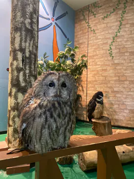 ひらかたパークに投稿された画像（2022/3/3）