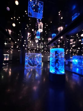 マクセル アクアパーク品川に投稿された画像（2022/3/3）