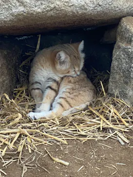 神戸どうぶつ王国に投稿された画像（2022/3/4）