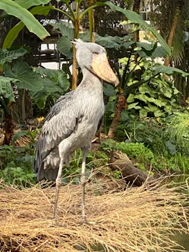 神戸どうぶつ王国に投稿された画像（2022/3/4）