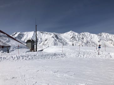 白馬八方尾根スキー場に投稿された画像（2022/3/4）