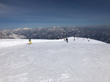 白馬八方尾根スキー場に投稿された画像（2022/3/4）