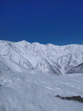 白馬八方尾根スキー場に投稿された画像（2022/3/4）