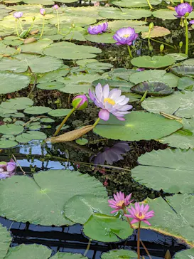 神戸どうぶつ王国に投稿された画像（2022/3/4）