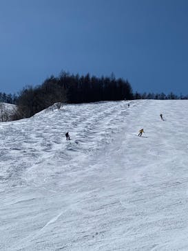 やぶはら高原スキー場に投稿された画像（2022/3/4）