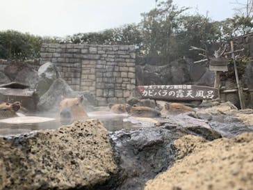 伊豆シャボテン動物公園に投稿された画像（2022/3/4）