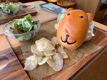 伊豆シャボテン動物公園に投稿された画像（2022/3/4）