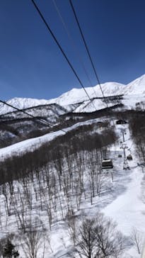 つがいけマウンテンリゾートに投稿された画像（2022/3/4）