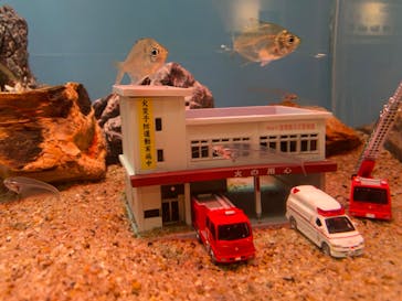 しながわ水族館に投稿された画像（2022/3/5）