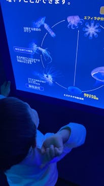 しながわ水族館に投稿された画像（2022/3/5）
