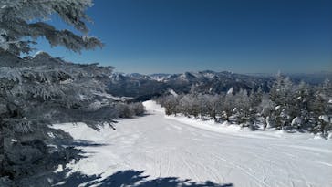 志賀高原マウンテンリゾートに投稿された画像（2022/3/5）