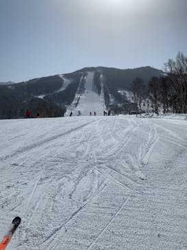 志賀高原マウンテンリゾートに投稿された画像（2022/3/5）