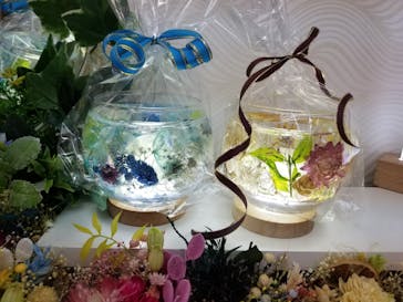 ずこうしつ〜sugamo〜に投稿された画像（2022/3/5）