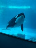 名古屋港水族館に投稿された画像（2022/3/5）