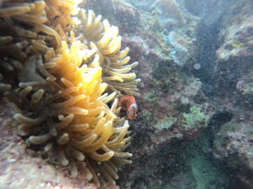 武藤潜水に投稿された画像（2022/3/5）