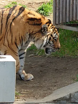 天王寺動物園に投稿された画像（2022/3/5）