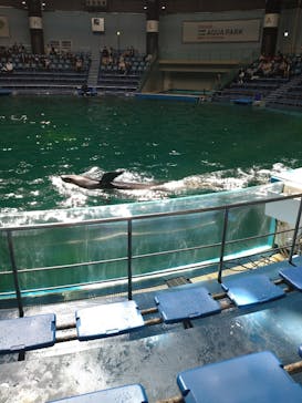 マクセル アクアパーク品川に投稿された画像（2022/3/5）