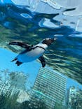 サンシャイン水族館に投稿された画像（2022/3/5）