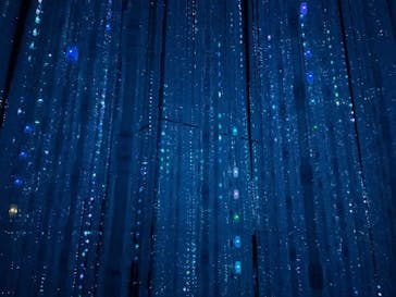 森ビル デジタルアート ミュージアム：エプソン チームラボボーダレスに投稿された画像（2022/3/5）