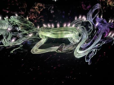 森ビル デジタルアート ミュージアム：エプソン チームラボボーダレスに投稿された画像（2022/3/5）