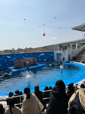 仙台うみの杜水族館に投稿された画像（2022/3/5）