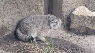 神戸どうぶつ王国に投稿された画像（2022/3/5）
