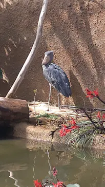 神戸どうぶつ王国に投稿された画像（2022/3/5）