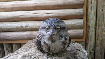 神戸どうぶつ王国に投稿された画像（2022/3/5）