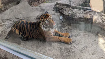 神戸どうぶつ王国に投稿された画像（2022/3/5）