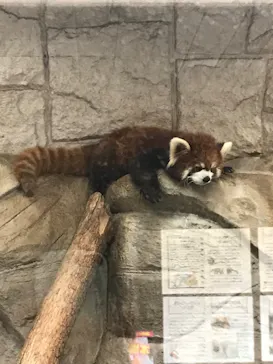 天王寺動物園に投稿された画像（2022/3/5）