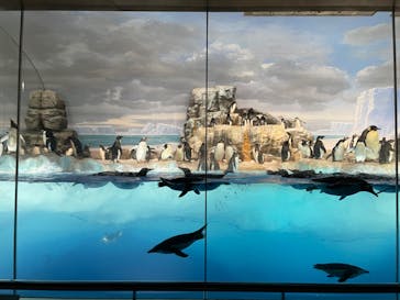 名古屋港水族館に投稿された画像（2022/3/5）