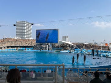 名古屋港水族館に投稿された画像（2022/3/5）
