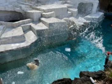 天王寺動物園に投稿された画像（2022/3/5）