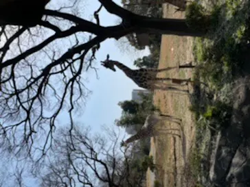 天王寺動物園に投稿された画像（2022/3/5）