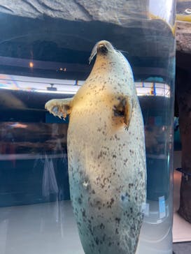 旭川市旭山動物園に投稿された画像（2022/3/5）